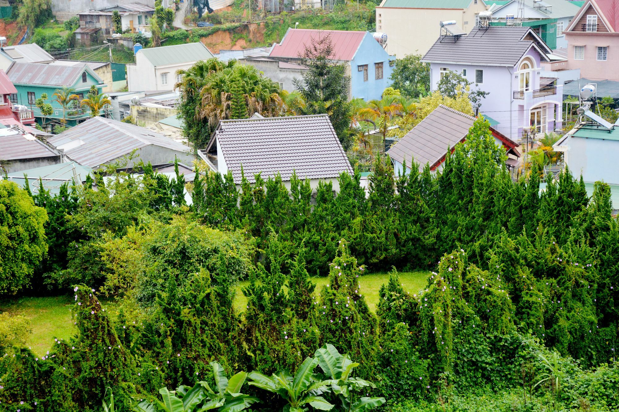 Pines Hotel Dalat Eksteriør bilde